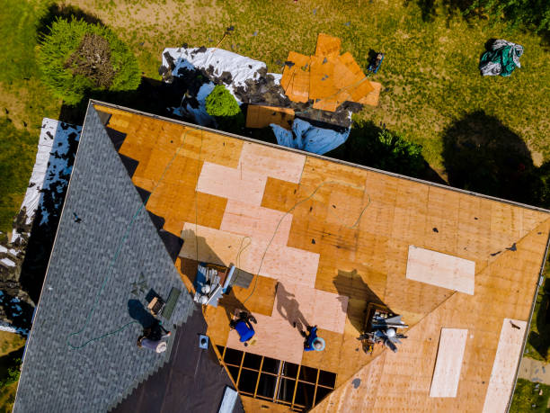 Best Roof Gutter Cleaning  in East Ithaca, NY