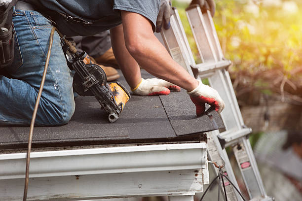 Best Storm Damage Roof Repair  in East Ithaca, NY